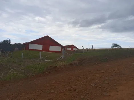 Cascavel Sede Alvorada (Distrito de Cascavel) Rural Venda R$2.800.000,00  Area do terreno 48400.00m2 